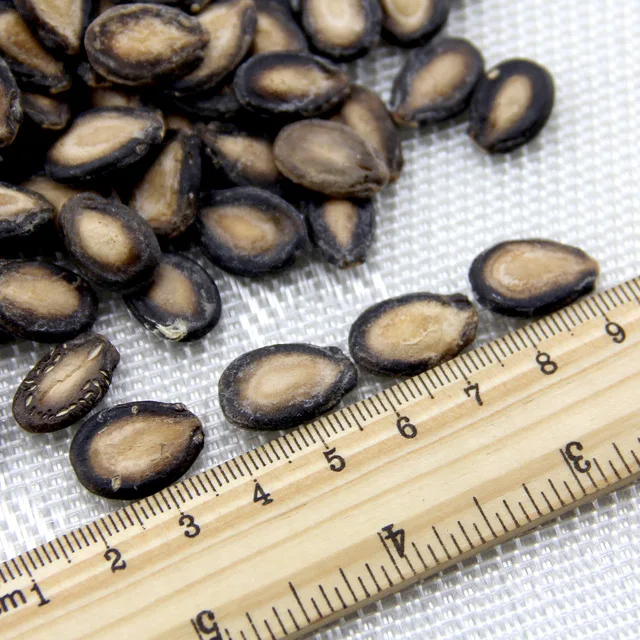 
Watermelon Seeds new crop high quality best price black White Melon watermelon seeds Good Quality Export Bulk Black Watermelon 