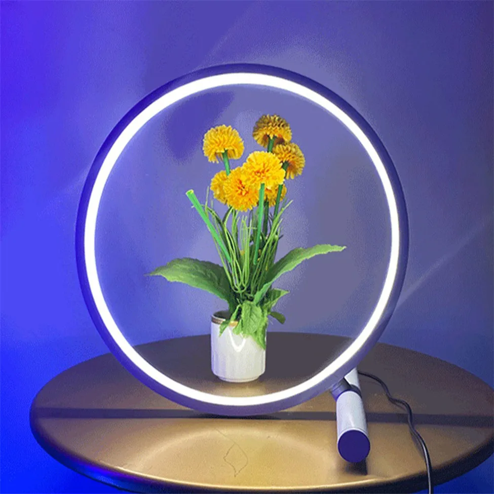 
Wholesale Home and Hotel Modern Circle RGB colorful dim RGB home party light 