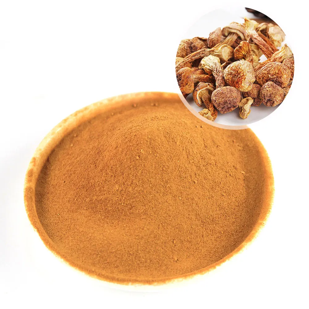 100% растворимый в воде порошок от производителя Agaricus Blazei Murill