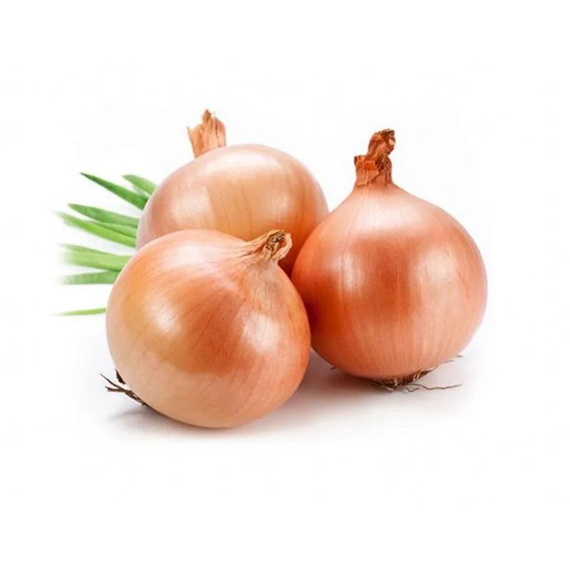 China Onion Prices In Bulk Yellow Holland Onions And India Onion