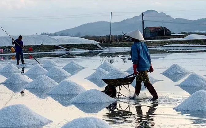 DINGHAO Bulk Wholesale Food Additive Edible Salt PDV 99%  Purity Refined Salt