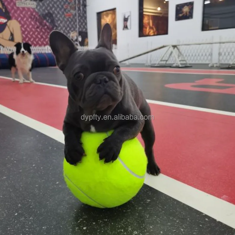 Большие теннисные мячи для игр по акции