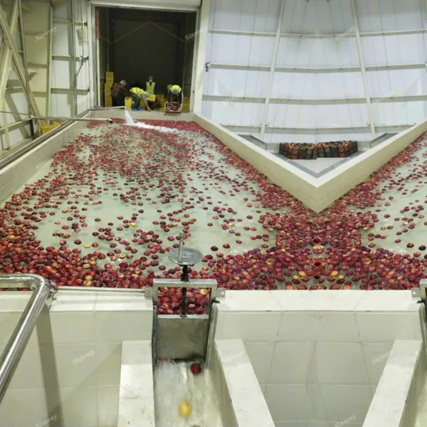 1-2 Tons Multifunctional fruits/ tomato/ mango/ banana/ apple/ pineapple/coconut Processing Line/Plant/Factory and Machines
