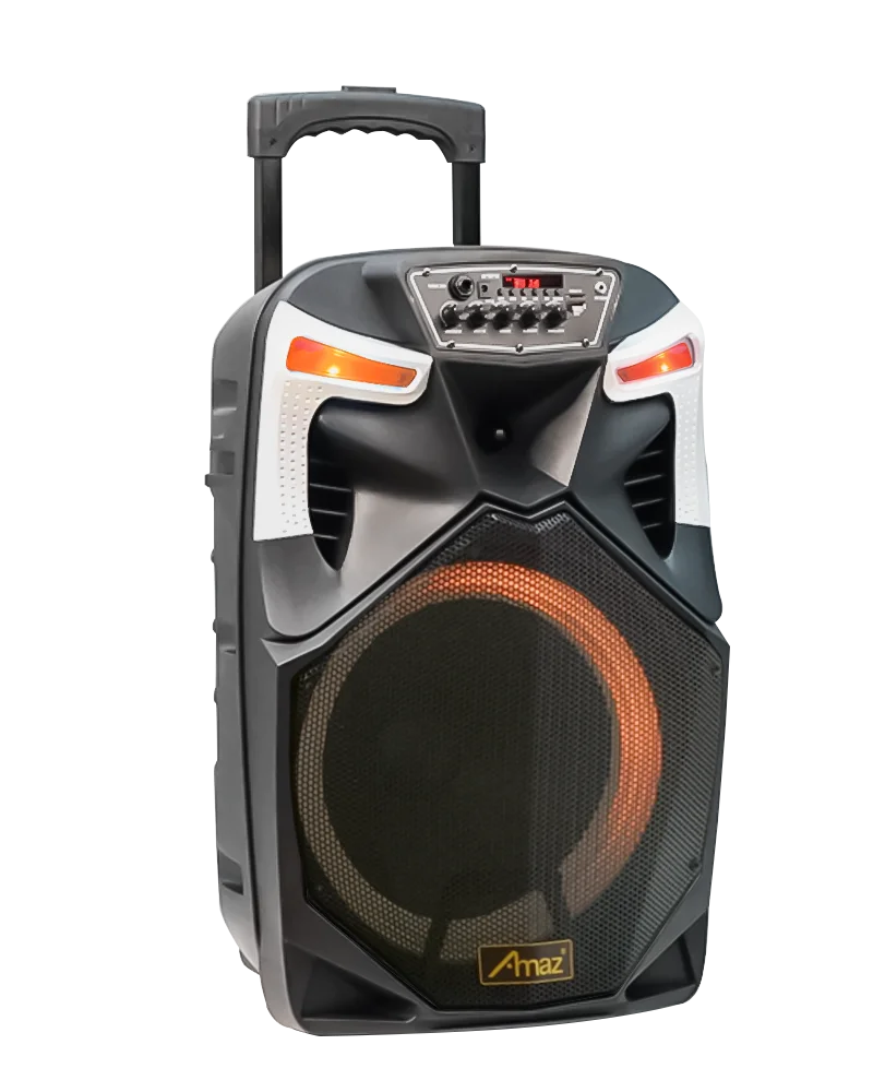 AMAZ 12 Inch New Design Portable Speaker with USB/FM/SD card/BT/LED Display/Remote Control