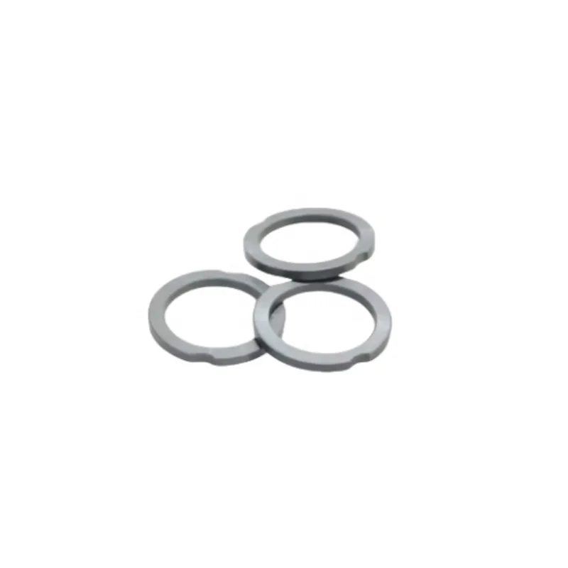 SIC SSIC Silicon Carbide Mechanical Seal Rotating End face Silicon Carbide Sealing Ring