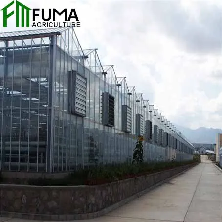 FM prefab tomato planting glass green house agricultural mushroom used greenhouse cooling system parts accessories for sale