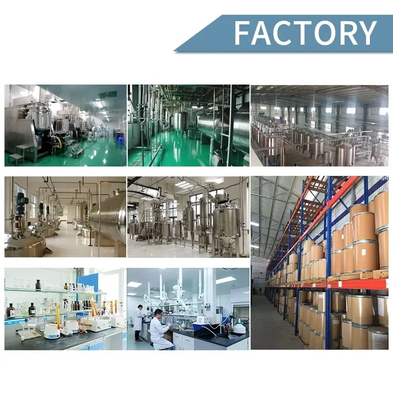 China Factory Food Grade Antioxidants Sweetener Glucosamine Sulfate Potassium Chloride Powder