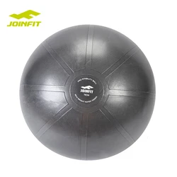 Exercise Ball Multiple Sizes for Stability, Balance & Yoga Workout Guide & Quick Pump Included Anti Burst