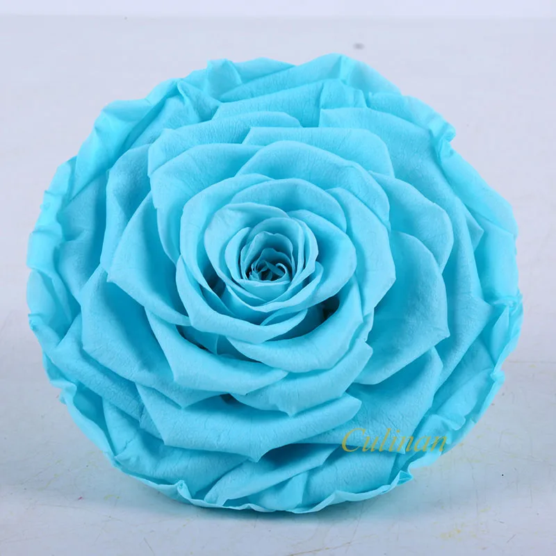 Culinan Wholesale Freeze Dried Roses Supplier Preserved Rose Preserved Flower Rose For Online Flowers Business