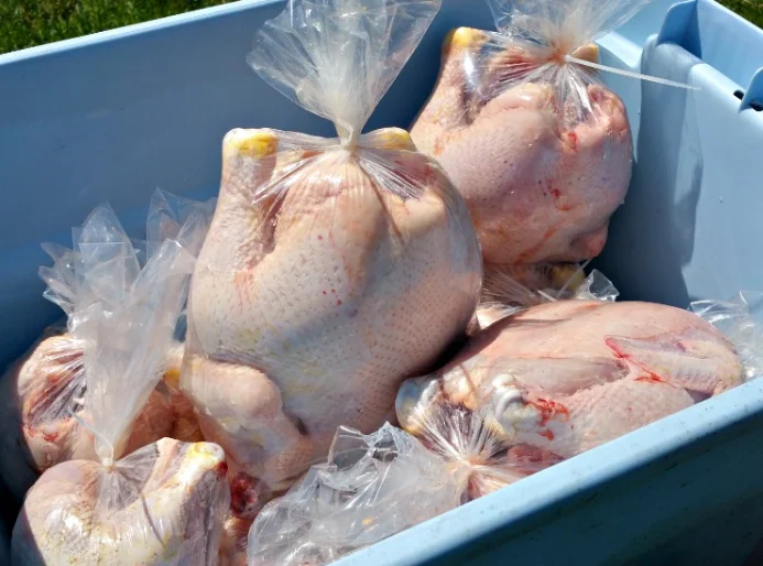 BPA Free Frozen Safe Clear Poultry Heat Shrink Packing Bags for Chickens