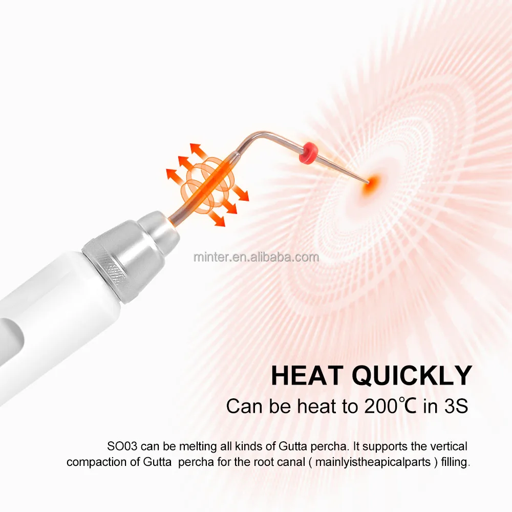 2024 New Product Dental Obturation System Dental Root Canal Instruments Cordless Gutta Percha Obturation Pen