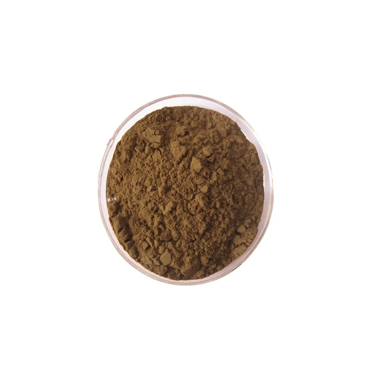 High Quality Persimmon Leaf Extract Powder