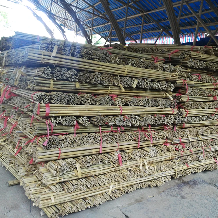 High Quality Natural Bamboo Cane 500cm Best Selling Wholesale Raw Bamboo Materials Chinese Manufacturer