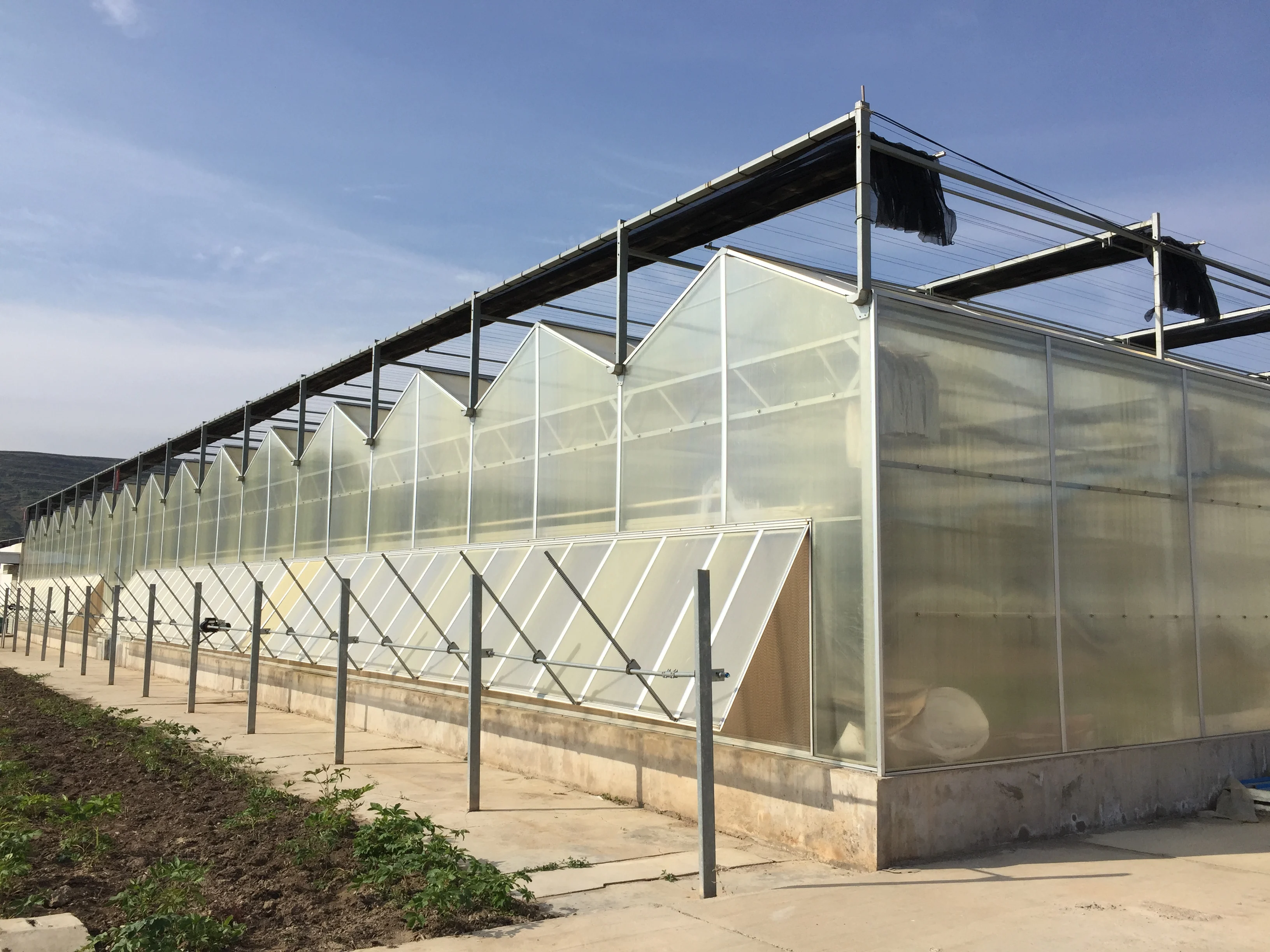 Multi-span Glass Greenhouse With High Yield Outstanding Economic Benefits