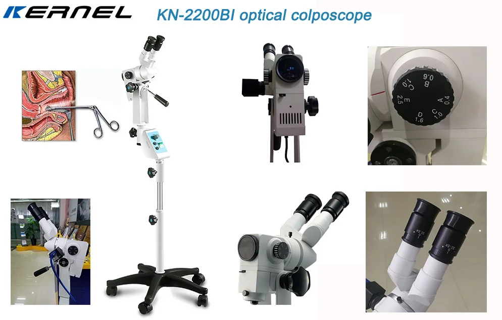 Kernel KN-2200BI Ce Approval Digital Optical Gynecology Medical Endoscopy Video Colposcope With HD Camera for Clinic Hospital