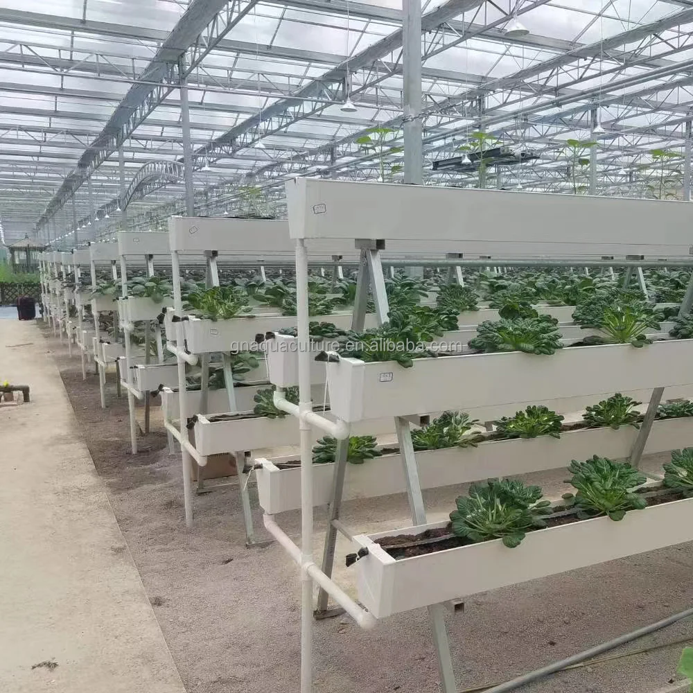 Above Ground Cultivation Equipment System Hanging Channel For Strawberry Color Strawberry Seeds For Planting