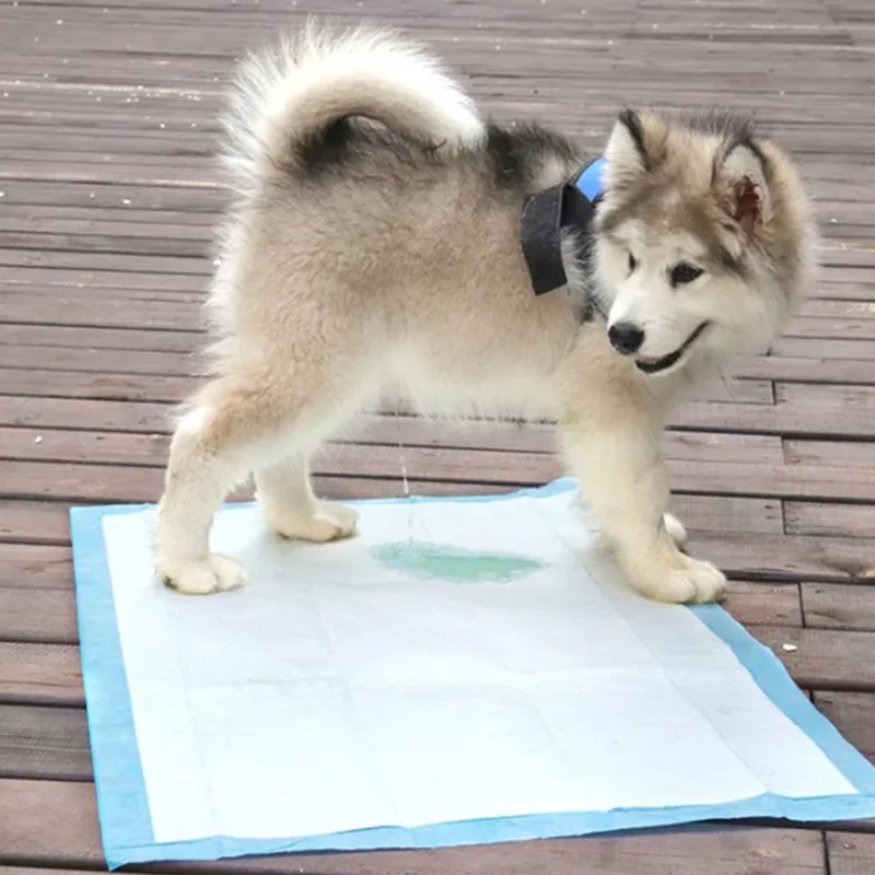Top Sale Premium Quality Sap Pet Drying Diaper Disposable Puppy Training Dog PEE Pad