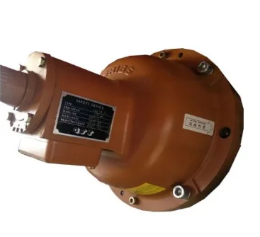 Passenger Hoist Safety Device
