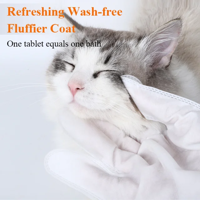 Mile Hot Sale High Quality Pet Wash Free Gloves Wipes 10pcs/bag