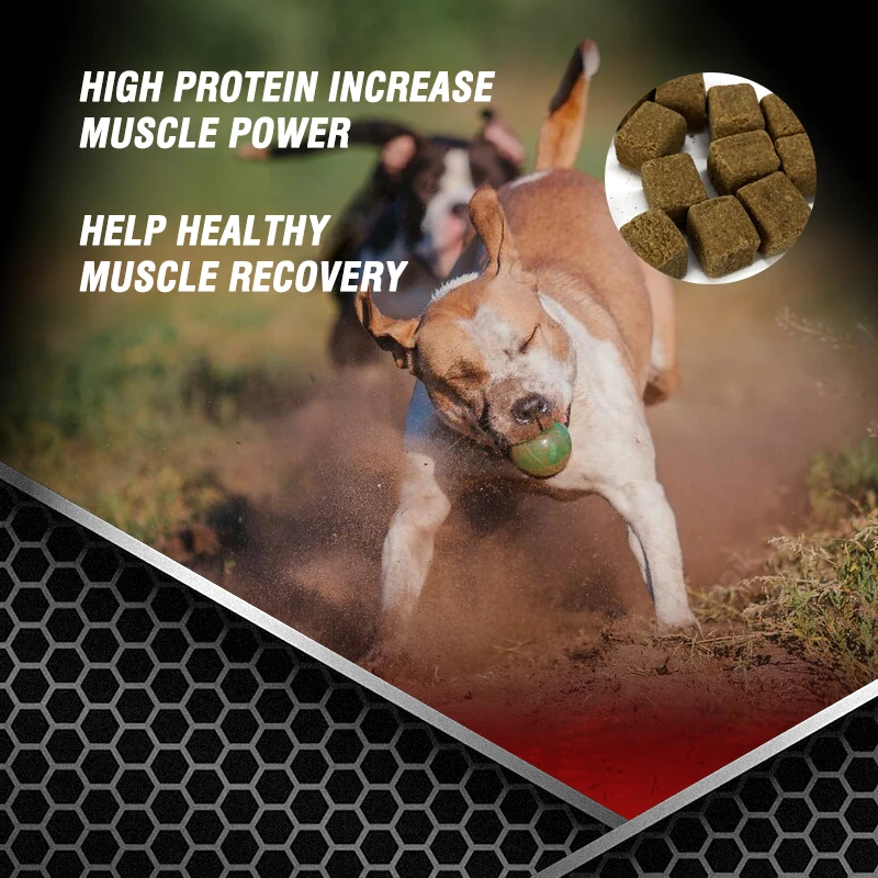 OEM ODM High Protein&Fat Chews for Dogs Muscle Builder Weight Gainer Supplement