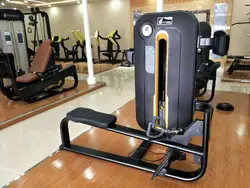 gym fitness equipment strength matrix leg extension leg curl