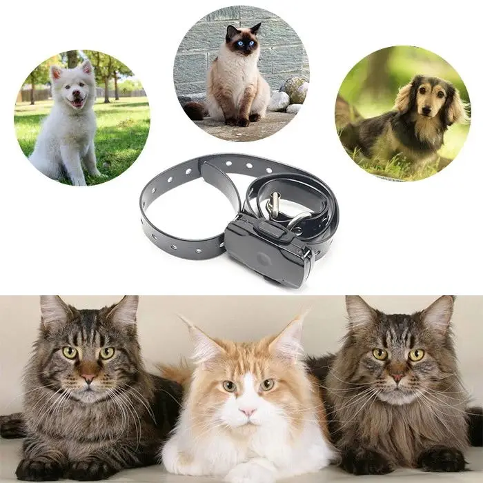 LKGPS USB GPS Tracker Worlds Smallest Pet GPS Tracker for Person Animal with Real Time Web Online Tracking