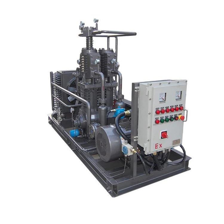 Custom Industrial Compressor Oil Free Gas Compressor Machine Reciprocating Piston CNG Compressor Natural Gas Filling Station