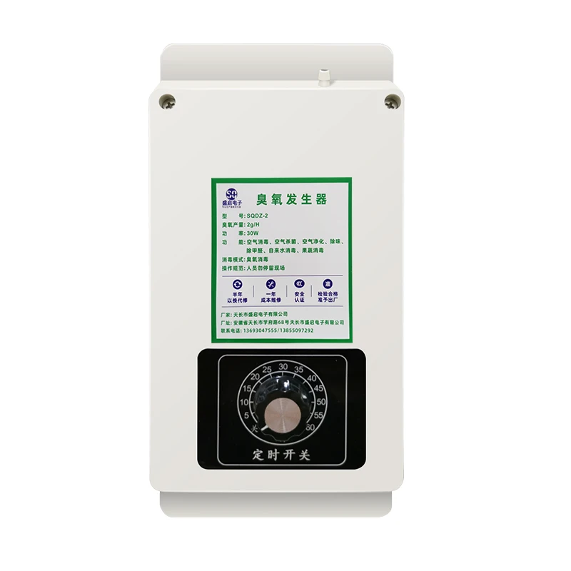 Fruits and Vegetable Food Ozonator Portable ozone water washing purifier electric ozone generator