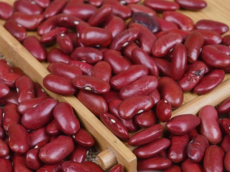 
The top quality of new crop2019 Dark Red Kidney Beans/ DRKB/RAJMA/ Selected by H.P.S Size:190-210pcs/100g 