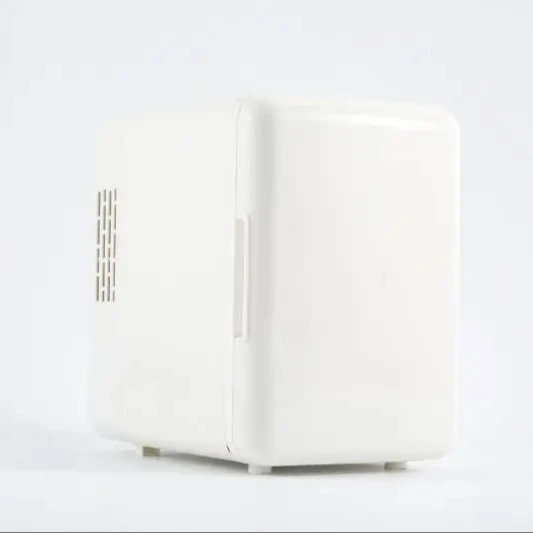 China Supply 12v 4L Capacity Pp Material Use For Cars Home Hotel Apartment Portable Mini Refrigerators