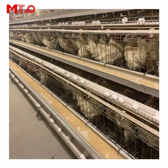 Лучшая цена автоматический яичный слой куриная ферма несущая курица птица аккумуляторная клетка для