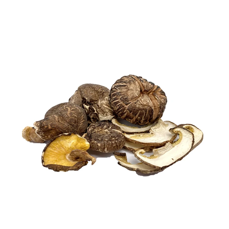 Коммерческое качество вкусно высушенные грибы поставщики