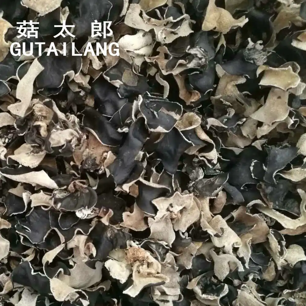 Edible dried black tree fungus full cut black fugus mushroom dried sliced black fungus piece black agaric wood fungus block