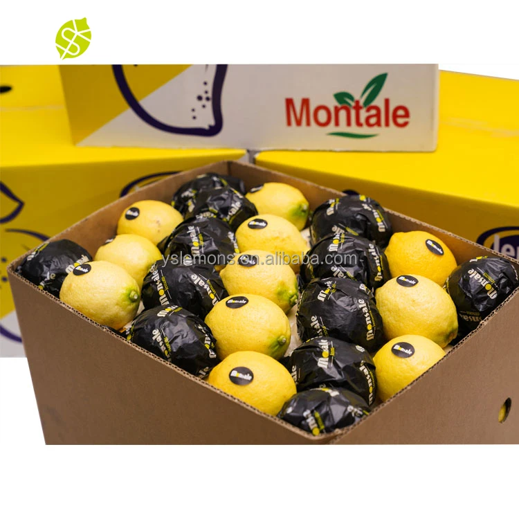 Montale лимон прямых поставок исключает множество ненужных посредников свежие цитрусовые фрукты лимоны