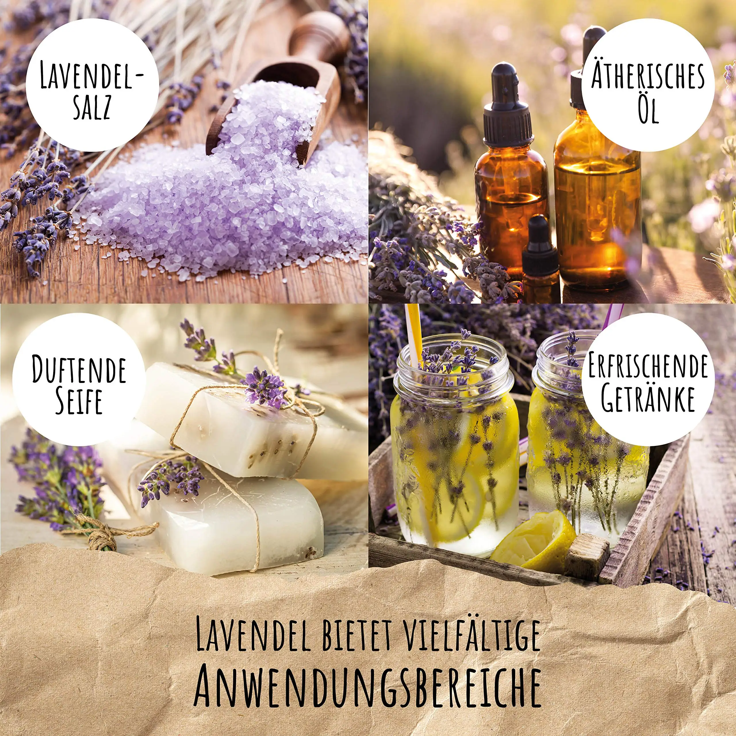 Wholesale Hot Sale Organic Premium Lavender for your Garden