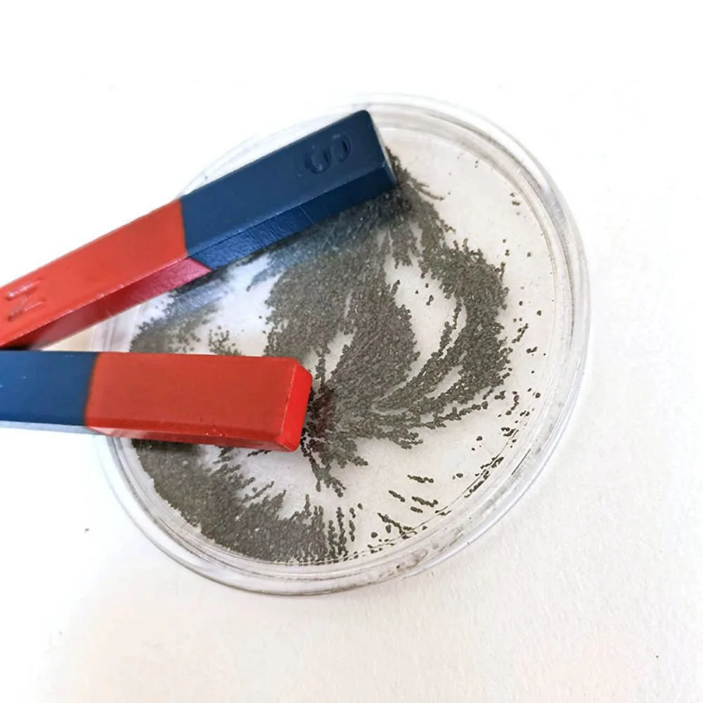 Magnetic Iron Powder For Magnet Education Iron Filing