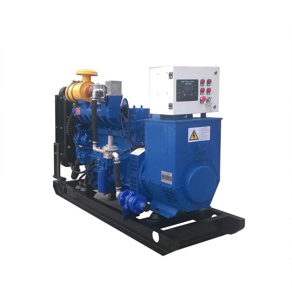 3 Phase Silent Portable 500kw kva 1 megawatt LPG Biomass Gas Engine Power Inverter Natural Gas Biogas Generator with CHP