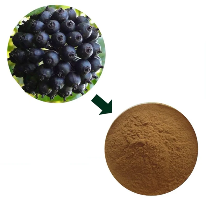 Best price Acanthopanax Senticosus Extract CAS No.CAS 39432-56-9