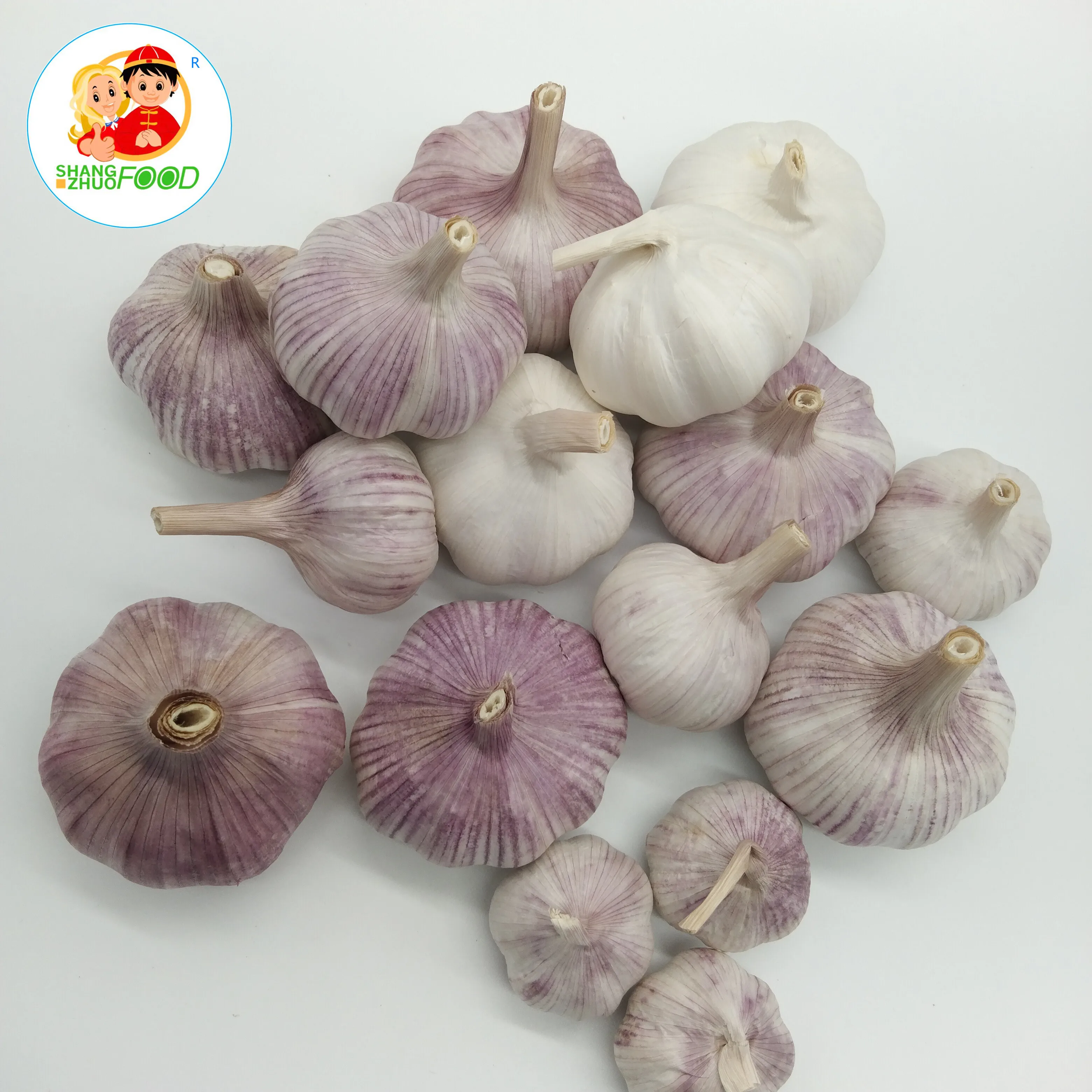 Fresh Garlic Price Bulk Garlic for Sale Garlic from China Factory Pure White Style Packing  good quality