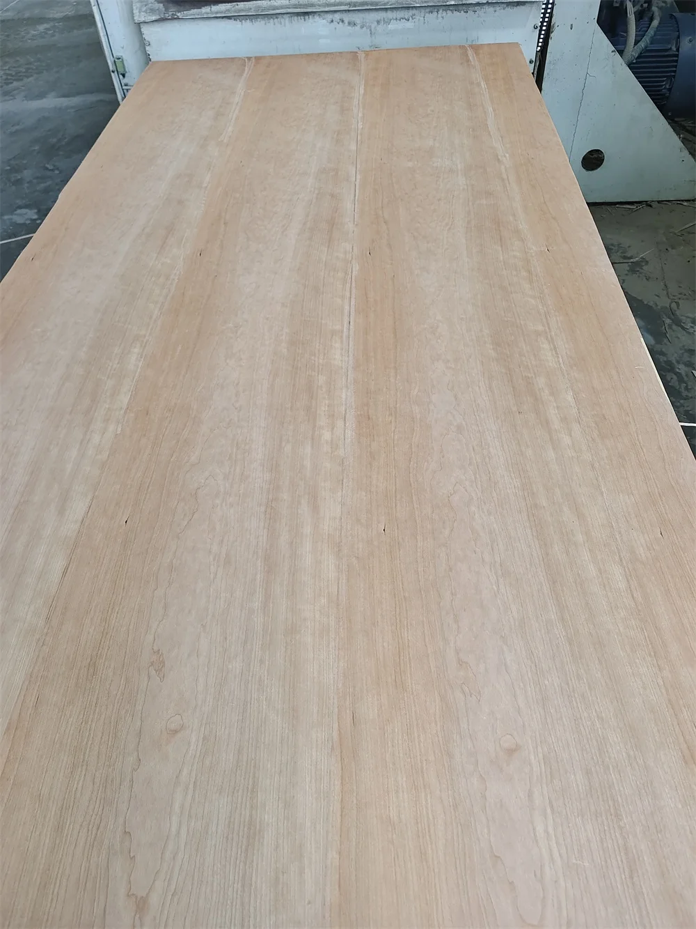3A Grade Natural Red Oak White Ash Teak Veneer Sapele Cherry Walnut Beech Fancy Plywood