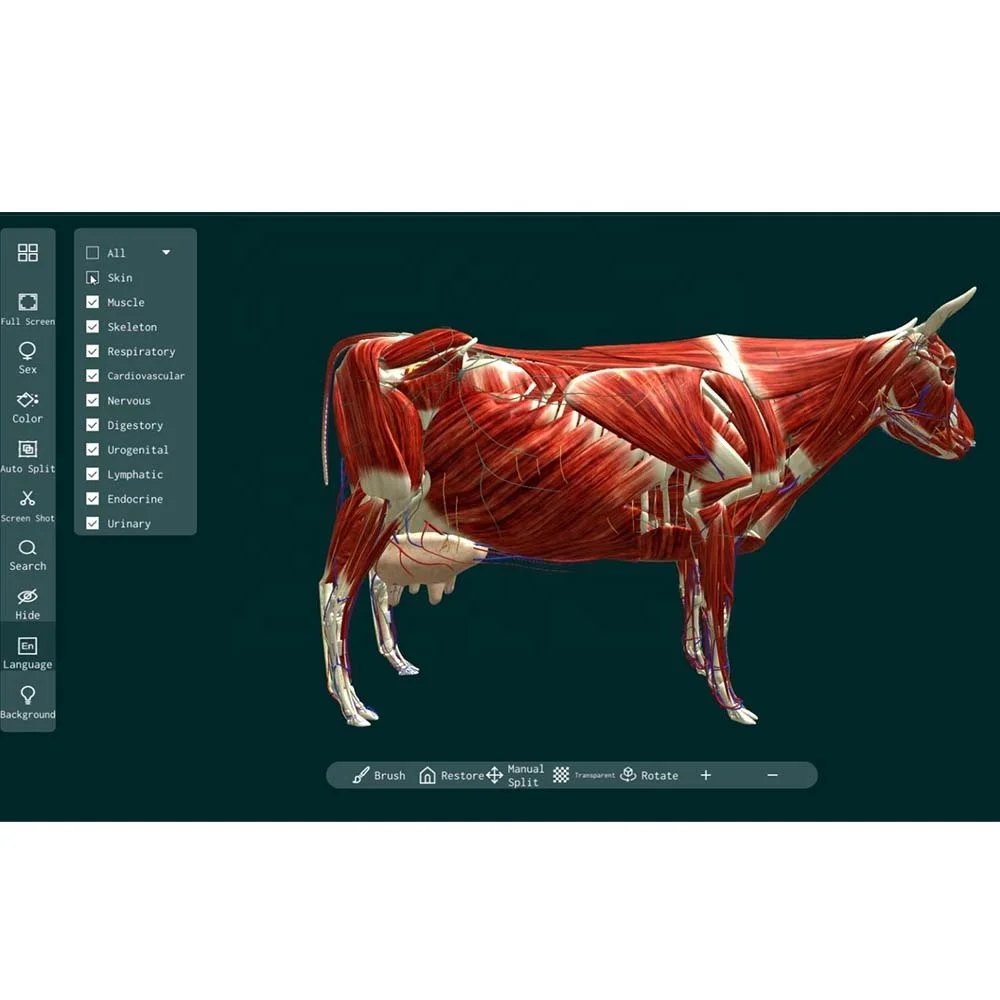 3D Veterinary Animal Anatomy Software for Veterinary Education