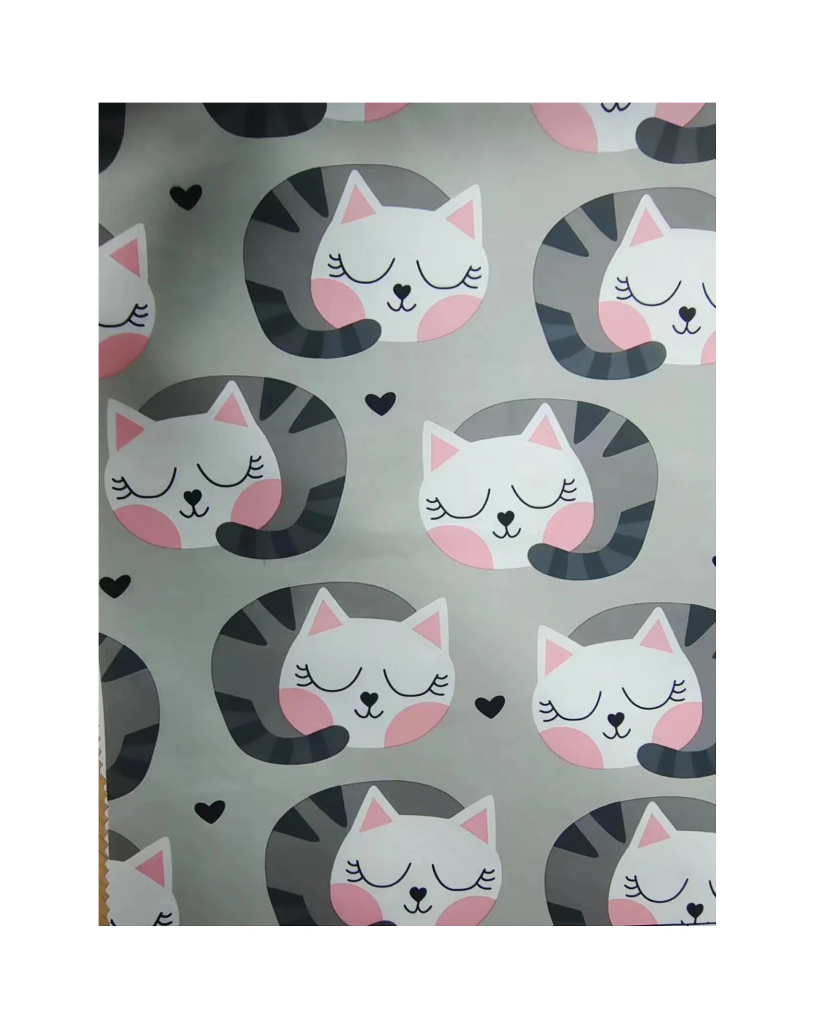 water repellent 420d custom print printing printed nylon ripstop oxford taffeta fabric
