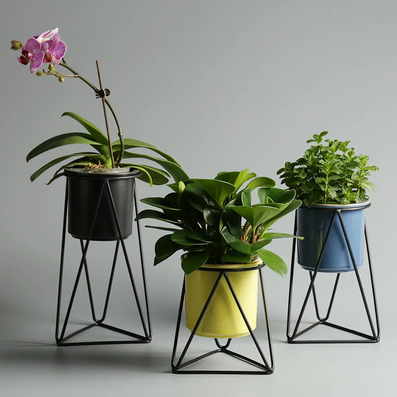 Nordic Succulent Simple Iron Frame Ceramic Hydroponic Green Plant Flower Pot Stand
