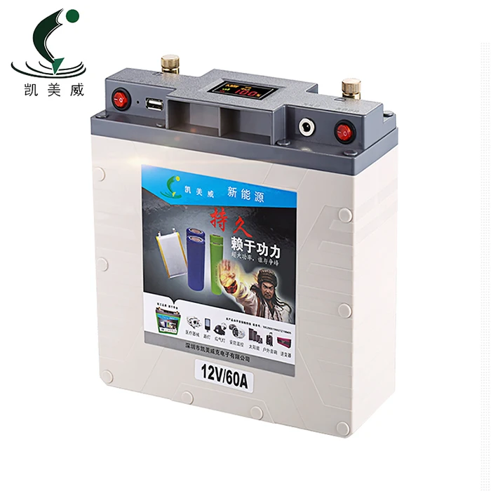OEM 12v 30ah 40ah 50ah 120ah li-ion li ion lithium Battery Pack