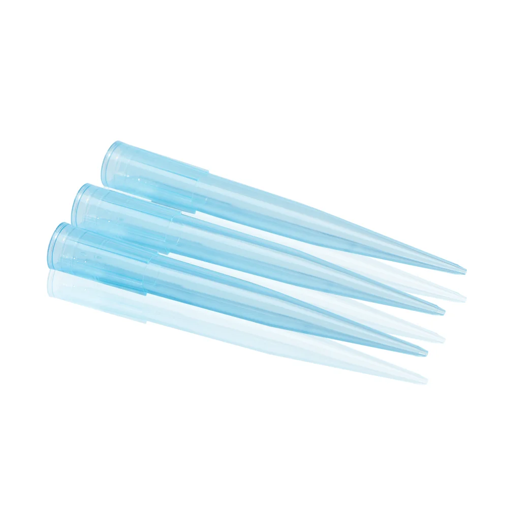 1000Ul Filter Tips Bagged Boxed Sterile Pipette Tips