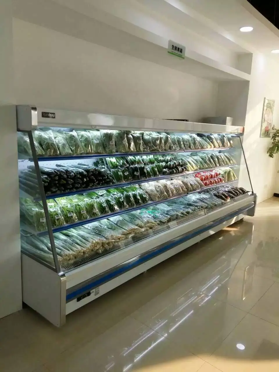 Refrigeration Equipment Fruit And Vegetable Showcase Air Curtain Refrigerator Price for Supermarket