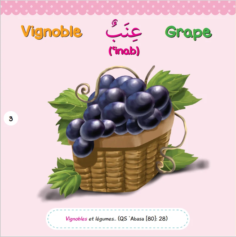 French Arabic English Muslim kids Al Quran words books
