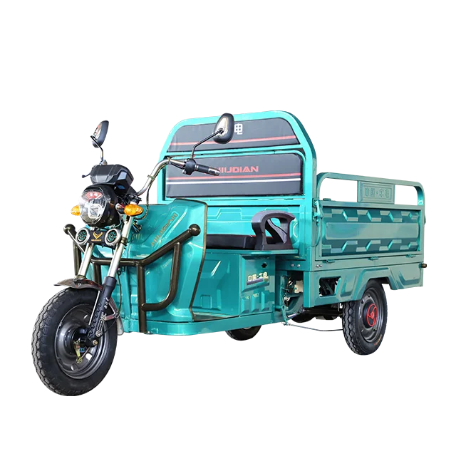 
2021 new model adult passenger electric freight cargo tricycle 