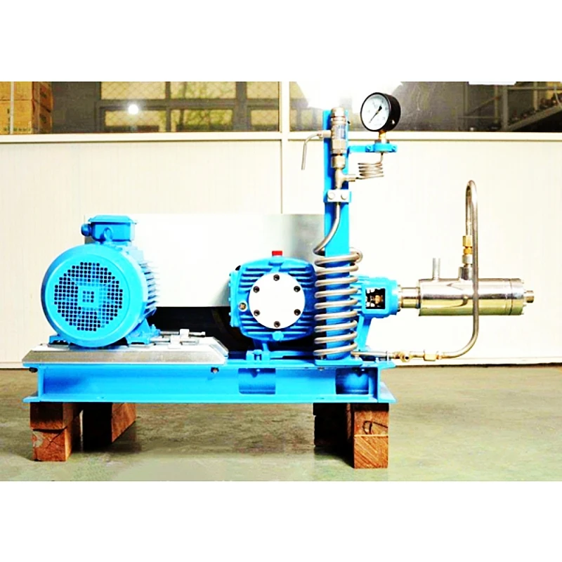 Hot Sale Horizontal Piston Pump 50L/H Cryogenic Pump For LAr
