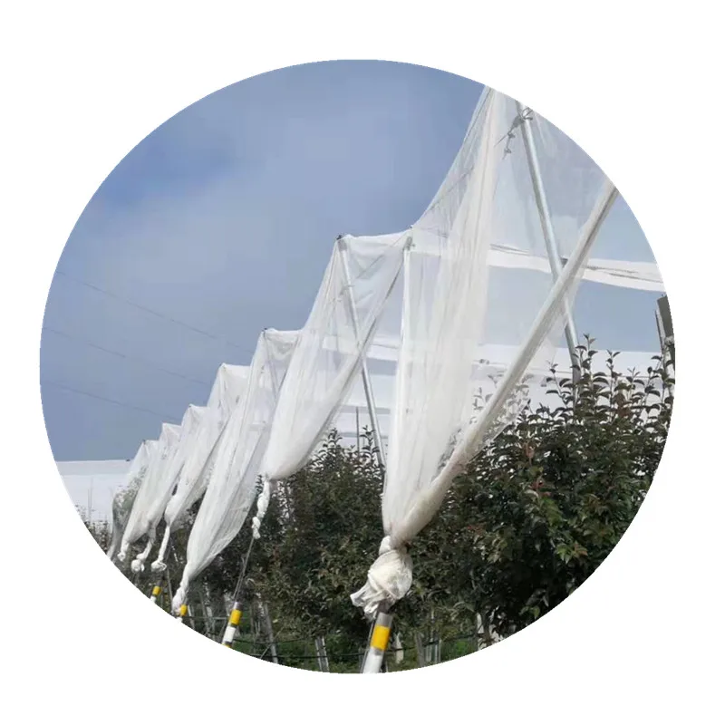 new style 100gsm Plant Garden Mesh for anti bug